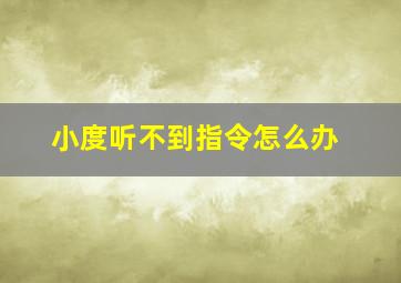 小度听不到指令怎么办