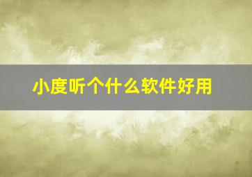 小度听个什么软件好用