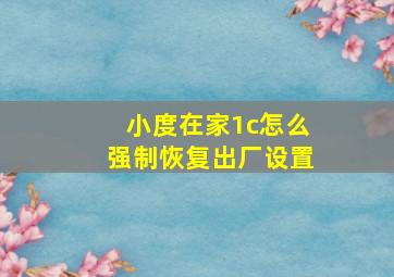 小度在家1c怎么强制恢复出厂设置