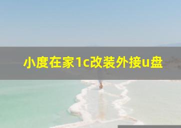 小度在家1c改装外接u盘