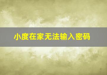 小度在家无法输入密码