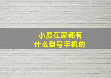 小度在家都有什么型号手机的