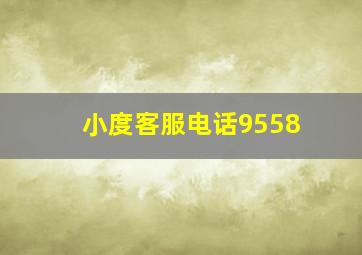 小度客服电话9558