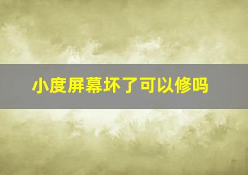 小度屏幕坏了可以修吗