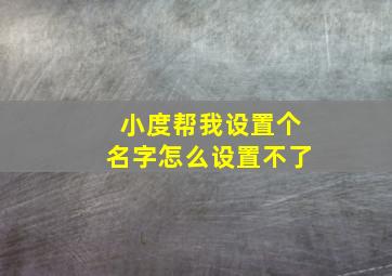 小度帮我设置个名字怎么设置不了