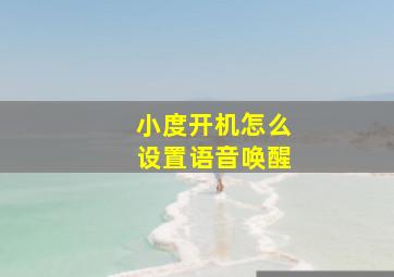 小度开机怎么设置语音唤醒