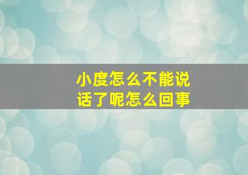 小度怎么不能说话了呢怎么回事