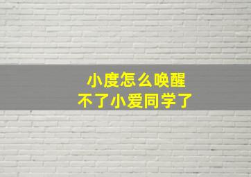 小度怎么唤醒不了小爱同学了