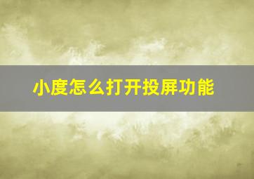 小度怎么打开投屏功能