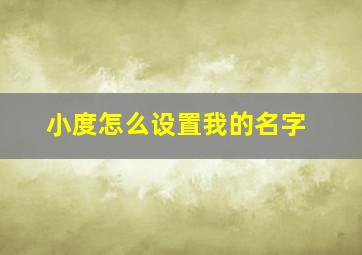 小度怎么设置我的名字