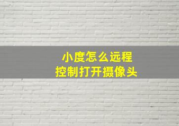 小度怎么远程控制打开摄像头