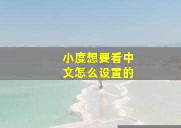 小度想要看中文怎么设置的