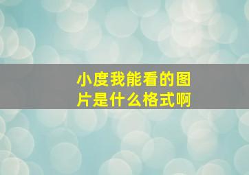 小度我能看的图片是什么格式啊