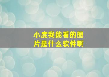 小度我能看的图片是什么软件啊