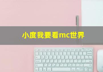 小度我要看mc世界