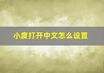 小度打开中文怎么设置