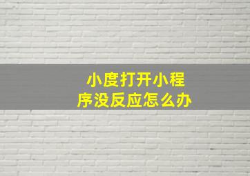 小度打开小程序没反应怎么办