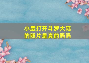 小度打开斗罗大陆的照片是真的吗吗