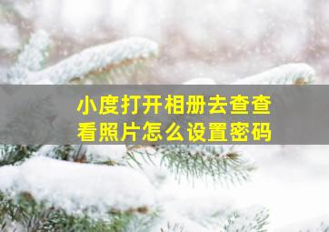 小度打开相册去查查看照片怎么设置密码