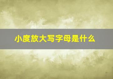 小度放大写字母是什么