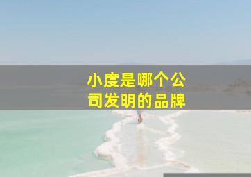 小度是哪个公司发明的品牌