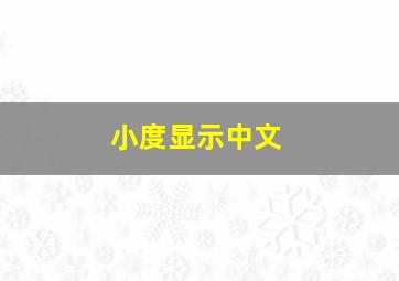 小度显示中文