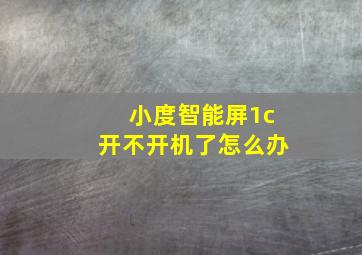 小度智能屏1c开不开机了怎么办