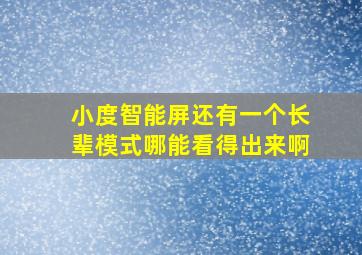 小度智能屏还有一个长辈模式哪能看得出来啊