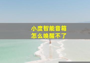 小度智能音箱怎么唤醒不了