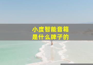 小度智能音箱是什么牌子的