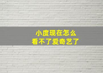 小度现在怎么看不了爱奇艺了