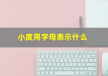 小度用字母表示什么