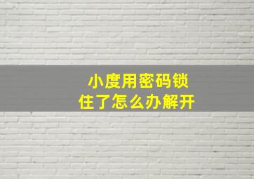 小度用密码锁住了怎么办解开