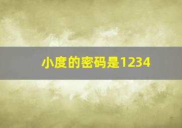 小度的密码是1234