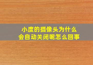 小度的摄像头为什么会自动关闭呢怎么回事