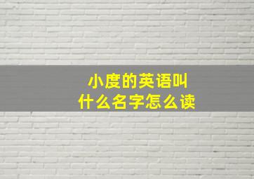 小度的英语叫什么名字怎么读