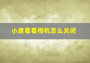 小度看看相机怎么关闭