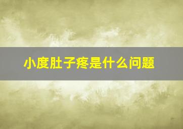 小度肚子疼是什么问题