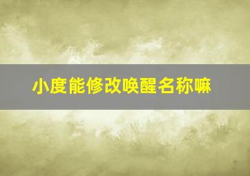 小度能修改唤醒名称嘛