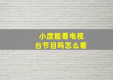 小度能看电视台节目吗怎么看