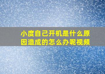 小度自己开机是什么原因造成的怎么办呢视频