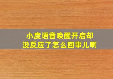 小度语音唤醒开启却没反应了怎么回事儿啊