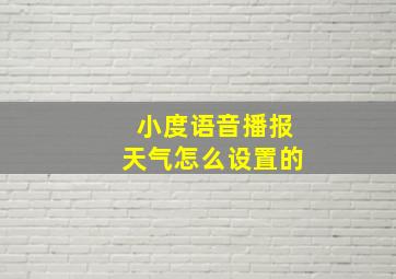 小度语音播报天气怎么设置的