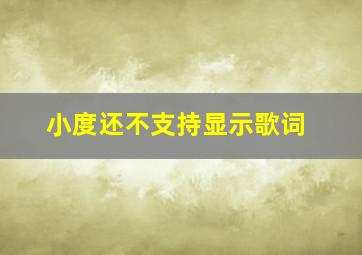 小度还不支持显示歌词