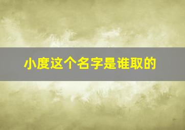 小度这个名字是谁取的