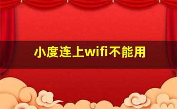 小度连上wifi不能用