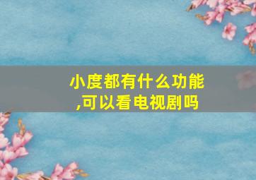 小度都有什么功能,可以看电视剧吗