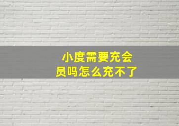 小度需要充会员吗怎么充不了