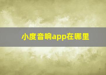 小度音响app在哪里