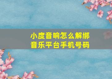 小度音响怎么解绑音乐平台手机号码